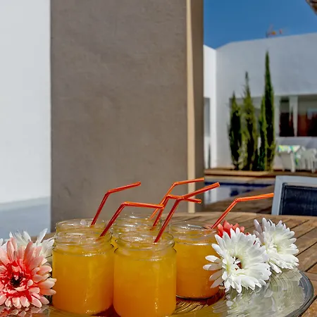 Villa Vinya 3